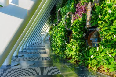 Yeşillik ve Salon İçi Dikey Bahçe