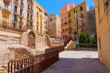 Tarragona, İspanya - 14 Temmuz 2024: Tarragona 'daki Roma Sirkinin Manzarası