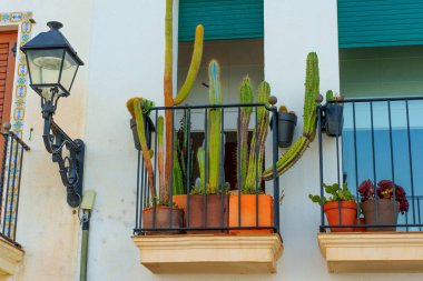 Tarragona, İspanya 'da Çiçekli Kaktüs ve Fenerli Balkon