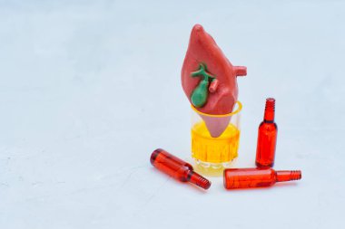 Gri Üzerine Bir Bira Kupasında Clay Liver Modeli