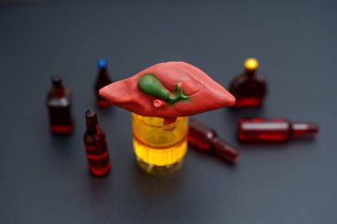 Karaciğer Modelinin Alkol Şişeleri Üzerinde Eğitici Gösterimi