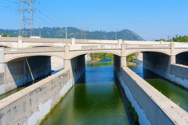 Yeşil Suyla Los Angeles Nehri üzerinde Beton Köprüler