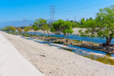 Elysian Vadisi 'ndeki Los Angeles Nehri boyunca Doğal Yaşam Alanı