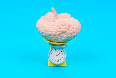 Ölçek Üzerine İnsan Beyni Modeli Bilginin Ağırlığını Kavramsallaştırıyor