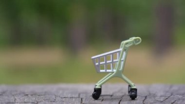 Ormandaki bir kütüğün üzerine yerleştirilmiş küçük bir alışveriş arabasına yığılmış dolar desteleri, zenginlik ve doğanın alışılmadık bir zıtlığını vurguluyor..
