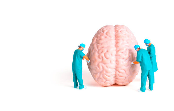 Surgeons Conducting Examination of a Large Brain Model