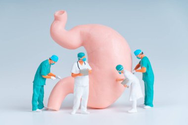 Plastik Bağırsak Modelini İncelemekte olan Minyatür Cerrahlar