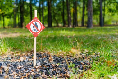 Lush Green Park Ayarlarında Ateş İşareti Yok