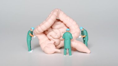 İnsan bağırsağının büyük bir anatomik modelini inceleyen üç cerrah cerrahi prosedürler ve tıp eğitimini vurguluyor..