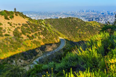 Şehir manzaralı Runyon Kanyonu 'nda Lush Hills ve Viraj Yolu