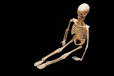 Oturan İnsan İskeleti Siyah Arkaplan Modeli