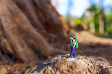 Doğal Arkaplan Taşı Üzerinde Figüran Hiker
