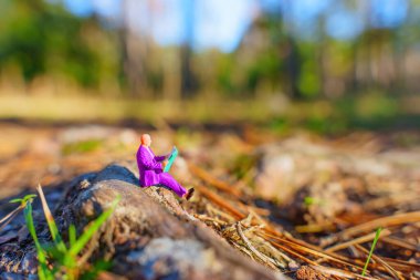 Ormanda Oturan ve Okuyan Minyatür Şekil