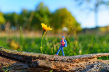 Sarı Çiçek ve Orman Arkaplanlı Minyatür Yürüyüş Figürü
