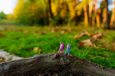 Sonbahar Ormanını Keşfeden Minyatür Yürüyüşçüler