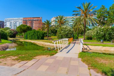 Valencia, İspanya - 12 Temmuz 2024: Valensiya 'da Köprü ve Palmiye Ağaçlı Park Manzarası