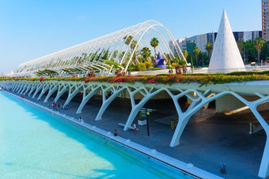 Valencia, İspanya - 12 Temmuz 2024: Modern Yapı ve Palmiye Ağaçları Sanat ve Bilim Şehri, Valencia