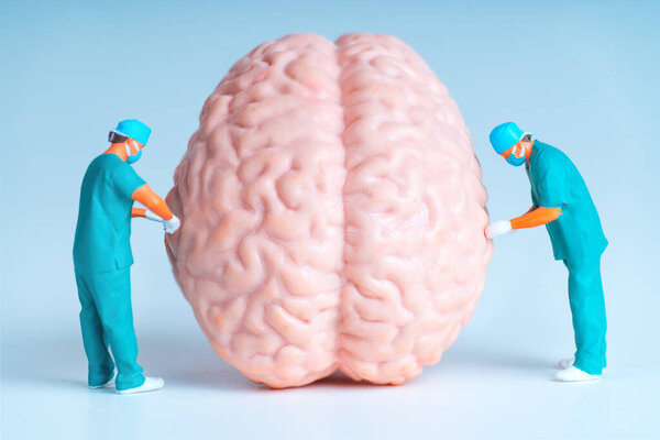 Miniature Surgeons and Human Brain Model