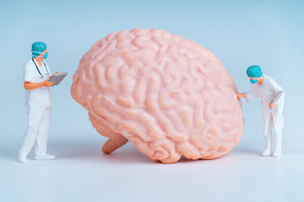 Tiny Doctors Analyzing a Huge Brain Model on Medical Backdrop