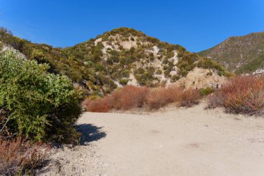 Dusty Path Surrounded by Green Foliage in Angeles National Forest clipart