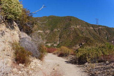 Los Angeles Ulusal Ormanı 'nda Lush Green Hills' i izleyen Manzaralı Yol