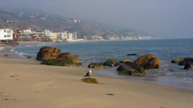 Malibu, California 'da huzurlu bir sahil sahnesi, hafif dalgalar, kayalık kıyılar ve uzak sahil arazileri sergileniyor..