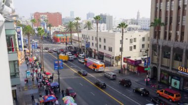 Los Angeles, California - 24 Aralık 2024: Los Angeles 'ta trafik ve palmiye ağaçlarını gözler önüne seren Hollywood Bulvarı.