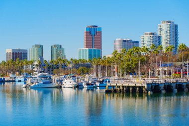 Long Beach, California - 15 Ocak 2025 Palm Trees ve Cityscape ile Long Beach Marina