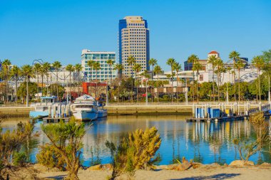 Long Beach, California - 15 Ocak 2025 Long Beach 'in tekneleri ve Skyline' lı liman manzarası