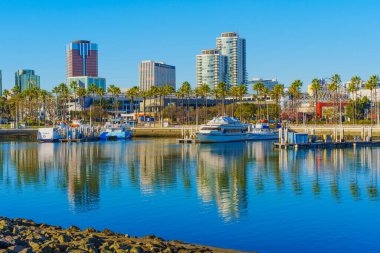 Long Beach, California - 15 Ocak 2025 Long Beach Marina Yansımaları ve Şehir Binaları