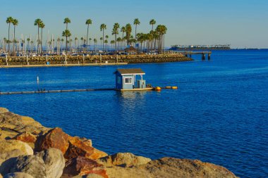 Long Beach, California - 15 Ocak 2025: Long Beach Marina, Kaliforniya 'da Mavi Kulübe