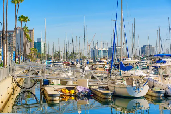 Los Angeles, Kaliforniya - 17 Aralık 2024: Marina del Rey 'de Tekne ve Şehir Manzaralı Canlı Marina Sahnesi