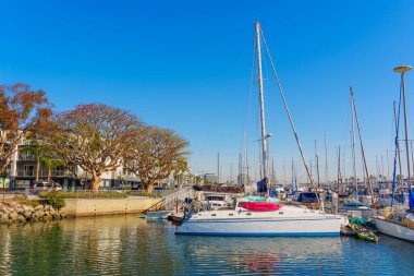 Los Angeles, Kaliforniya - 17 Aralık 2024 Tranquil Marina del Rey Limanı 'na demir atan yelkenli