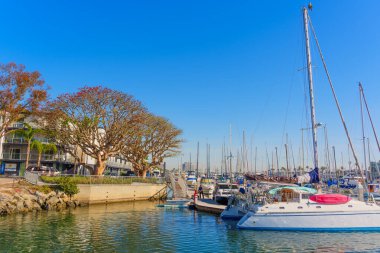 Los Angeles, California - 17 Aralık 2024: Marina Del Rey 'de Yelkenli ve Lush Trees ile Serene Marina View