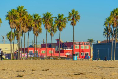 Los Angeles, Kaliforniya - 18 Aralık 2024: Venice Beach, Kaliforniya 'da Muscle Beach ve Palm Trees