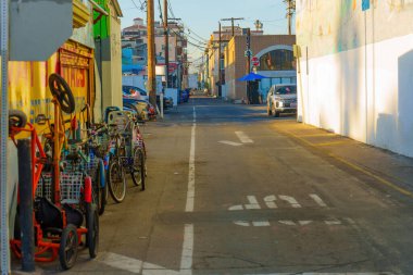 Los Angeles, California - 18 Aralık 2024: Venice Beach, Kaliforniya Bisikletli Büyüleyici Sokak