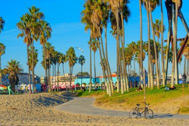 Los Angeles, California - 18 Aralık 2024: Venedik Sahili boyunca bisiklet ve palmiye ağaçları
