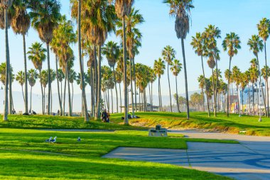 Los Angeles, Kaliforniya - 18 Aralık 2024: Venedik Plajı 'nda Palmiye Ağaçlı Yol