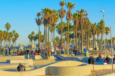 Los Angeles, Kaliforniya - 18 Aralık 2024: Venedik Plajında Palm Trees ile Paten Park Vibes