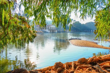 Kaliforniya Doğa 'sında Serene Riverside Manzarası