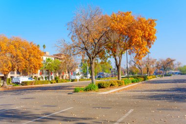 Riverside, California - 31 Aralık 2024: Riverside 'ın Boş Otoparkında Sonbahar Renkleri