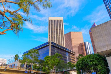 Los Angeles, Kaliforniya - 7 Ocak 2025: Los Angeles 'ta İkonik Binalar