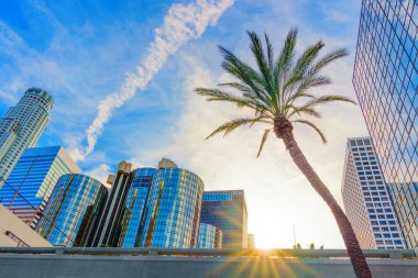 Los Angeles, California - January 7, 2025: Palm Trees and Skyscrapers in Los Angeles at Sunset clipart