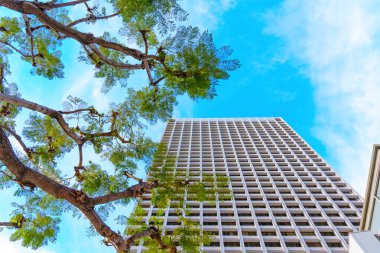 Los Angeles, Kaliforniya - 7 Ocak 2025: Union Bank Plaza Tower Çevresindeki Lush Yeşillik Los Angeles