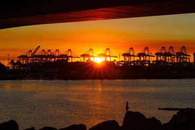 Long Beach, California - 11 Ocak 2025: Crane Siluetlerle Long Beach Liman Günbatımı