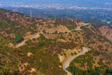 Griffith Park, California 'daki sarmal yaprakların hava perspektifi aşağıdaki kentsel manzaranın panoramik görüntüsüyle.