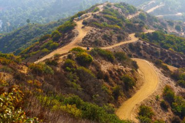 Tom LaBonge Panorama Gözlemevi zirvesinden görüldüğü üzere Griffith Park 'taki bir yamaçta yeşil alanlarla çevrili dolambaçlı yollar..
