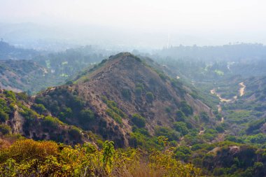 Los Angeles 'taki Griffith Park Tepelerinin manzarası