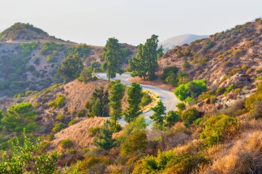 Los Angeles 'taki Hollywood Dağı boyunca kıvrımlı yol
