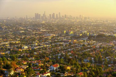 Los Angeles, Kaliforniya - 14 Aralık 2024: Griffith Park 'tan Los Angeles manzarası